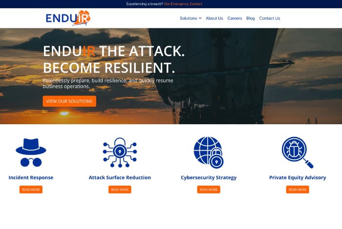 Enduir Cybersecurity screenshot